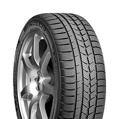 Зимние шины 205/55 R16 Roadstone Winguard Sport 94V XL