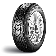 Зимние шины 195/55 R16 GT Radial Winterpro 2 91H