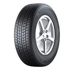 Зимние шины 225/45 R17 Gislaved Euro Frost 6 91H