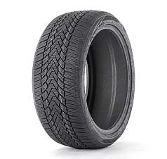 Зимние шины 225/45 R19 Fronway Icemaster I 96V XL 
